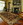 Traditional Area Rug