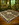 Traditional Area Rug